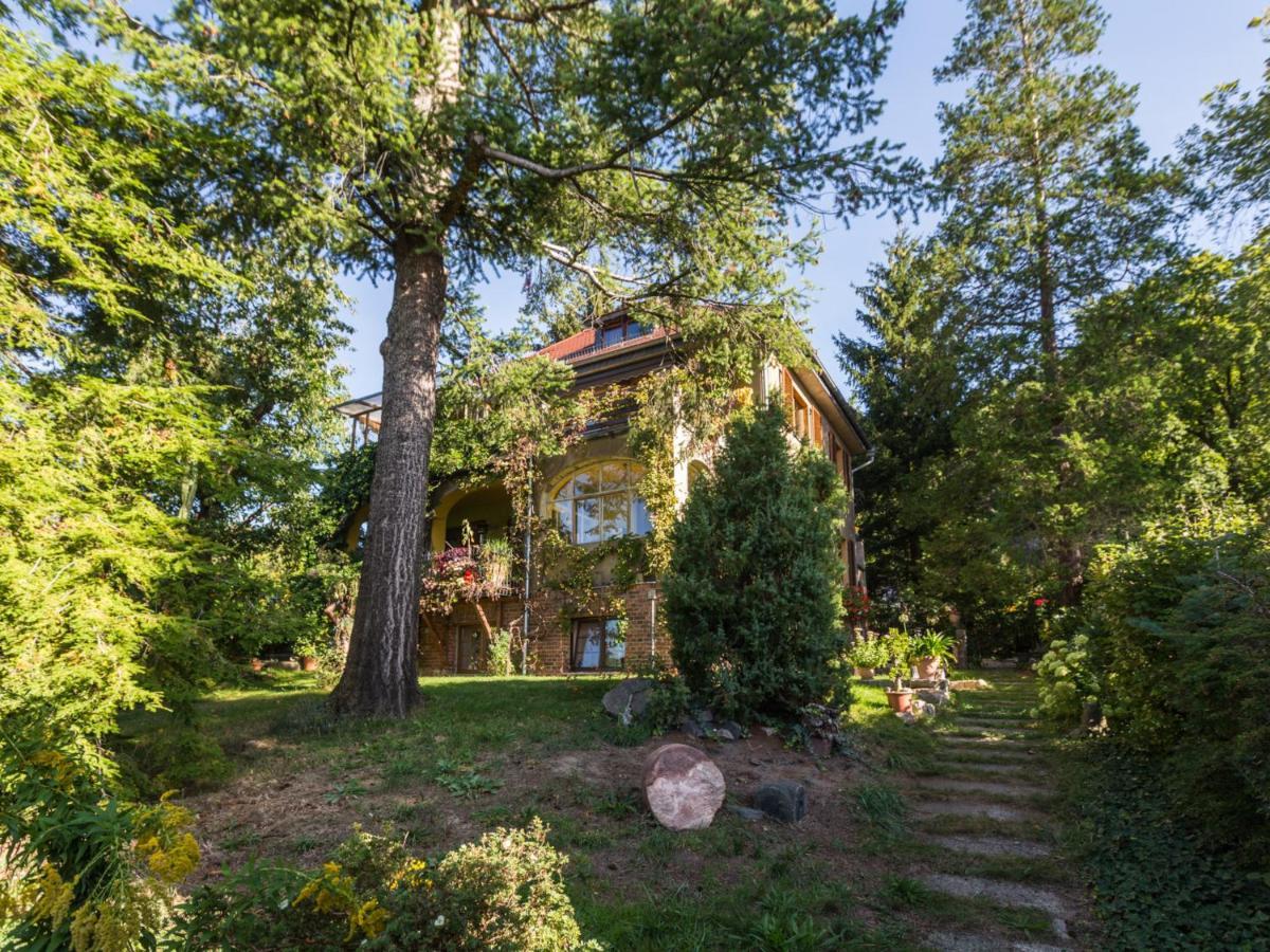 Ferienwohnung Dresden-Pillnitz - Elbhang-Villa - "Am Zuckerhut" Εξωτερικό φωτογραφία