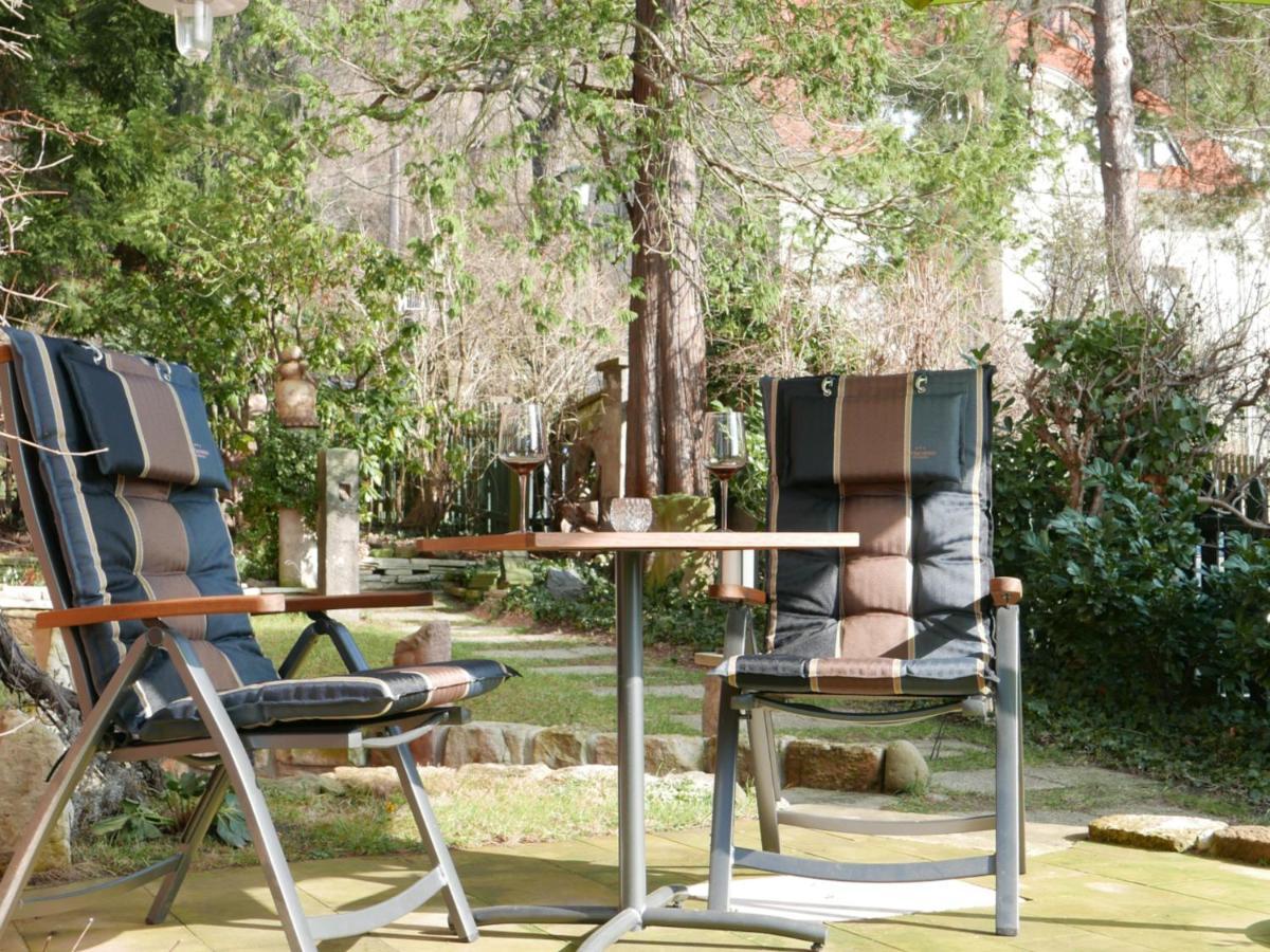 Ferienwohnung Dresden-Pillnitz - Elbhang-Villa - "Am Zuckerhut" Εξωτερικό φωτογραφία